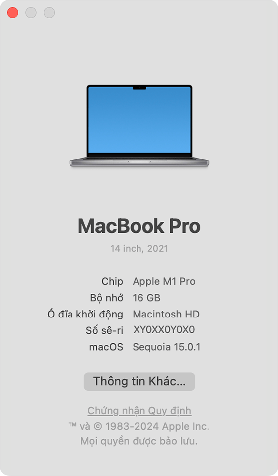 Ví dụ màn hình Giới thiệu trên máy Mac hiển thị thông tin máy