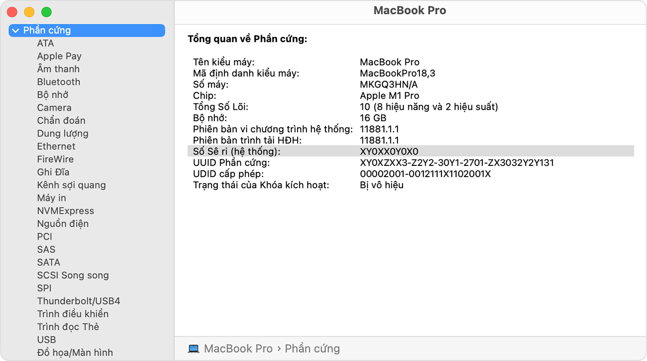 Xem báo cáo phần cứng chi tiết trong ứng dụng Thông tin hệ thống trên macOS