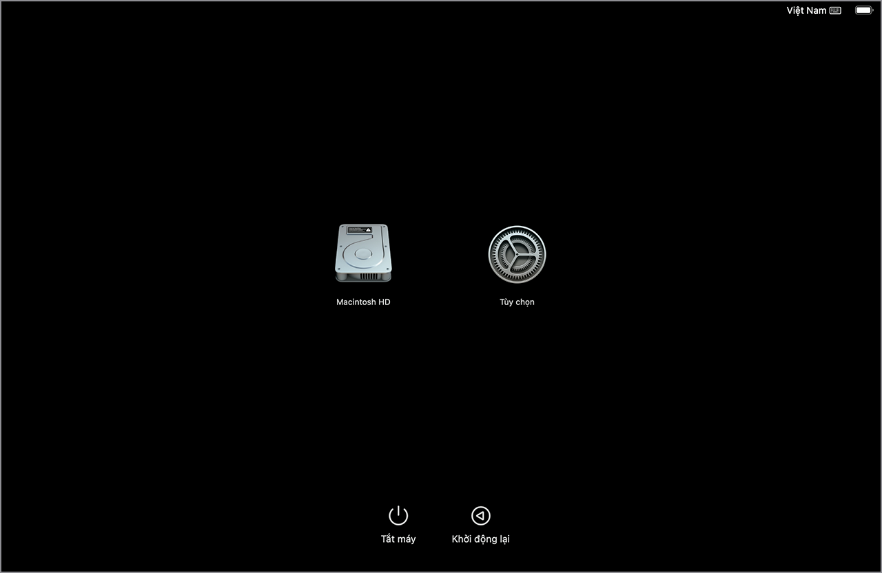 Cửa sổ tùy chọn khởi động trên Mac chip Apple, hiển thị ổ Macintosh HD và biểu tượng Tùy chọn