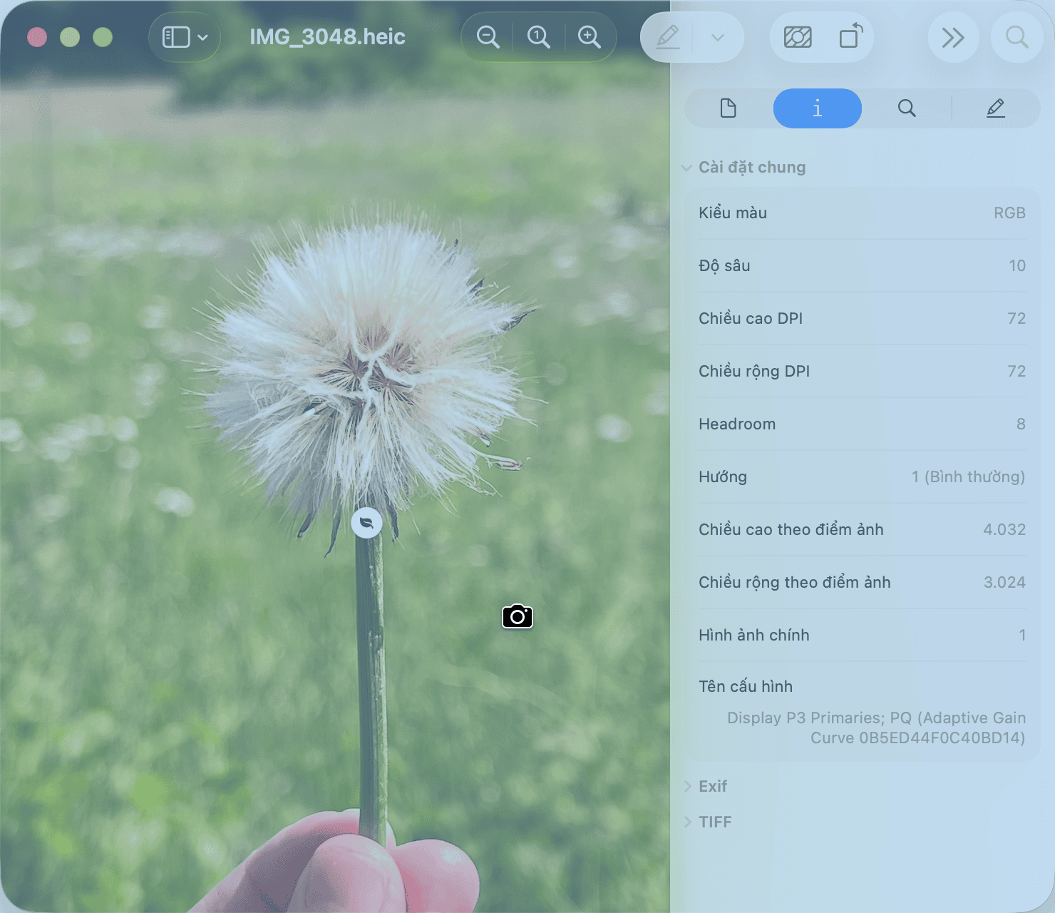 Con trỏ hình máy ảnh đang chọn một cửa sổ Mac để chụp riêng