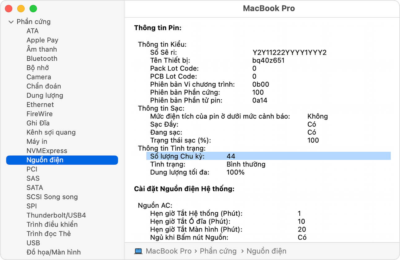 Vị trí số chu kỳ sạc trong Thông tin hệ thống trên macOS