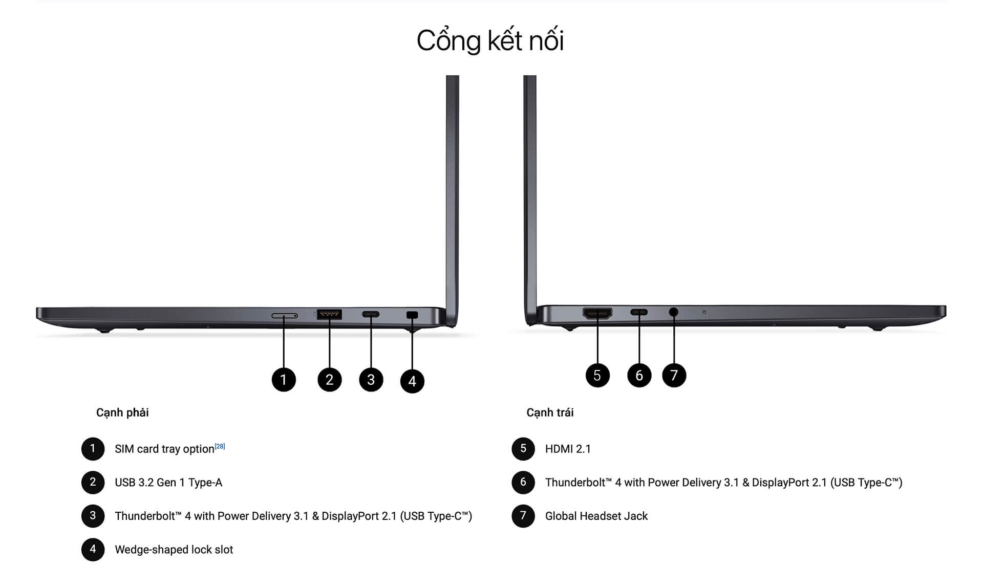 Sơ đồ cổng kết nối Dell Pro 14 Premium PA14250