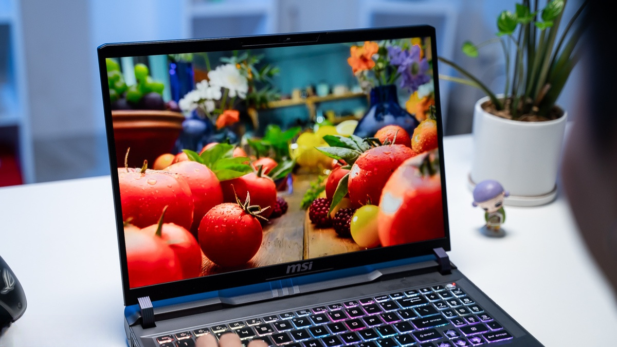 Màn hình 240Hz của MSI Vector 16 HX AI A2XWHG-010VN