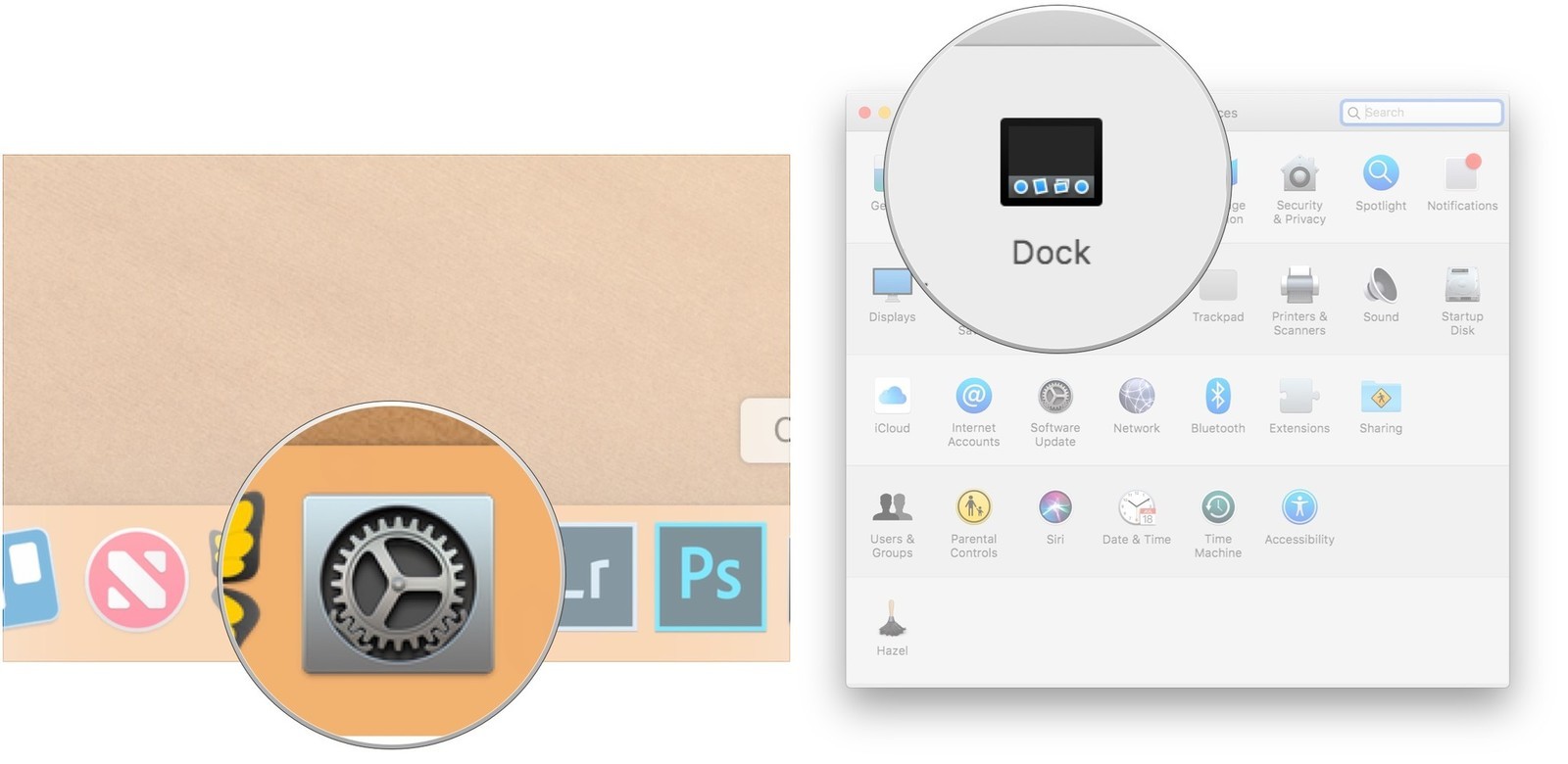 Mở tùy chọn hệ thống từ thư mục Dock hoặc ứng dụng của bạn.