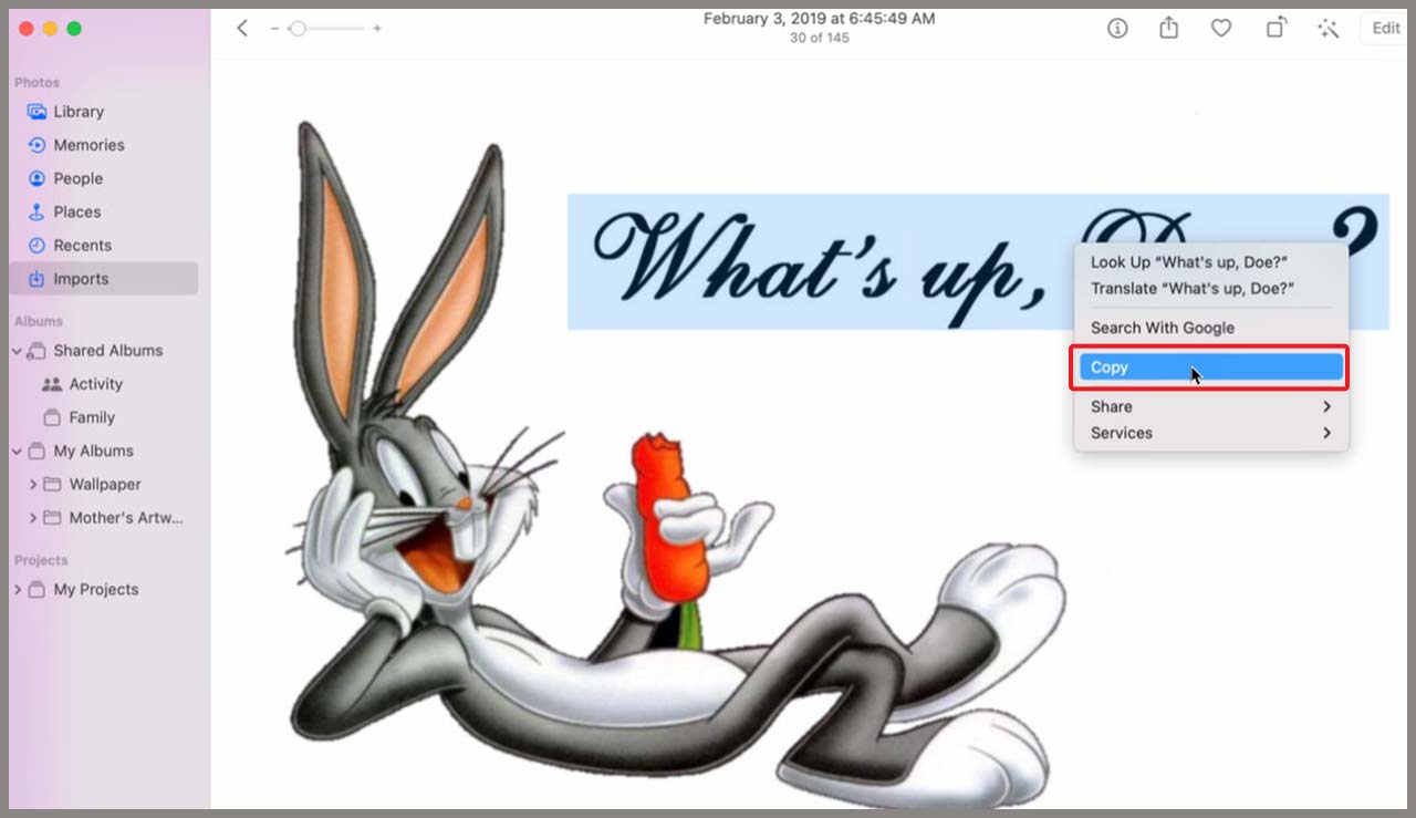live-text-on-macbook-2