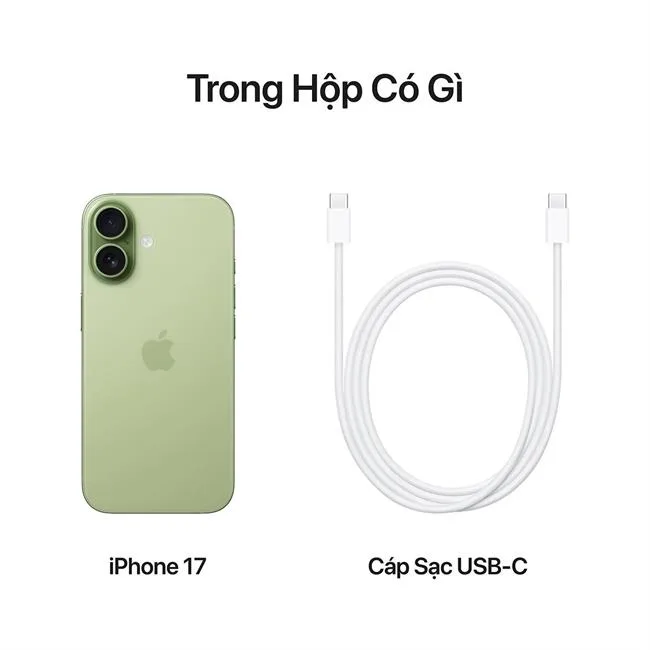 iPhone 17 256GB màu Xanh Lá Xô Thơm – ảnh 19