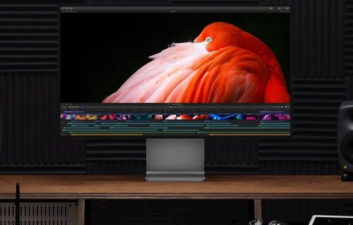 Apple 32 pro display xdr mac365 3